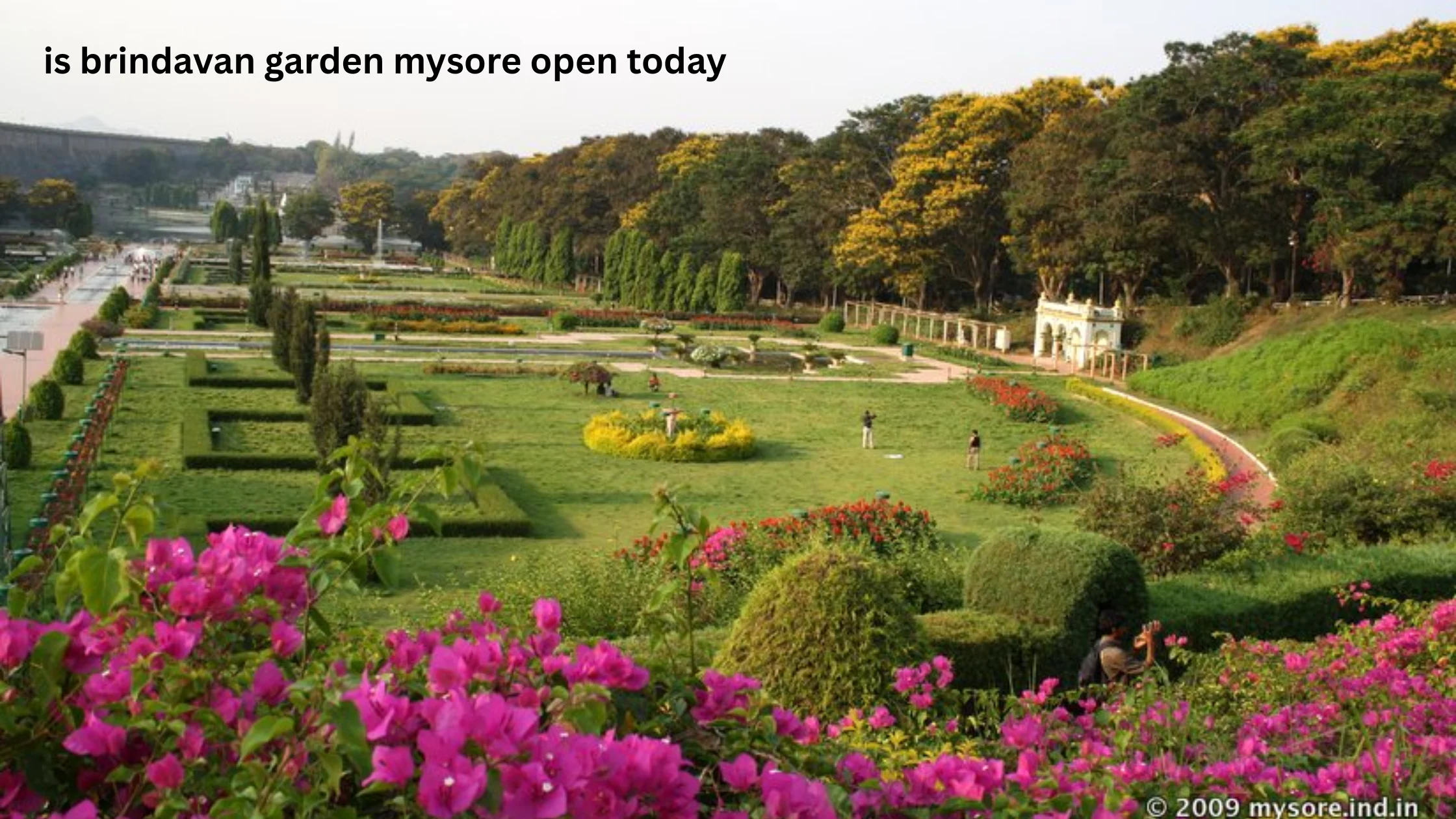 is brindavan garden mysore open today