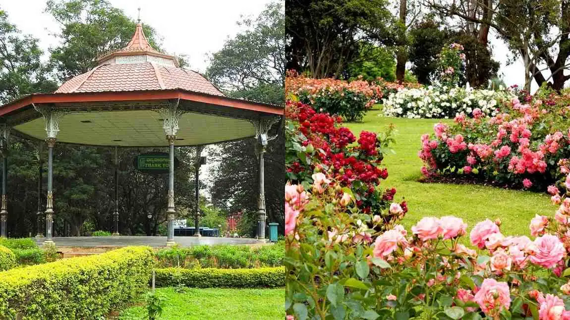 is food allowed in cubbon park