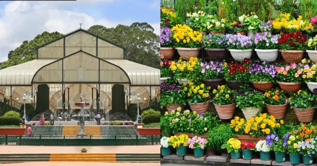 Lalbagh Nursery