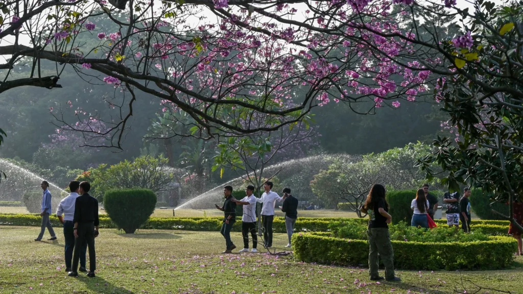 Cubbon Park