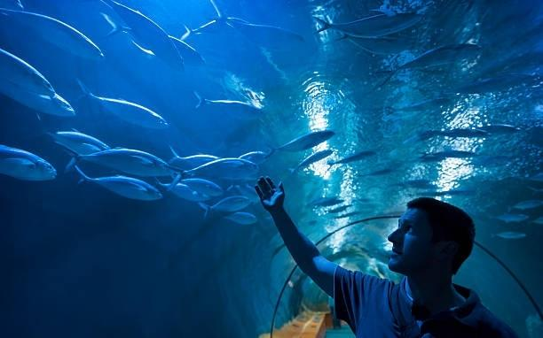 Cubbon Park Aquarium
