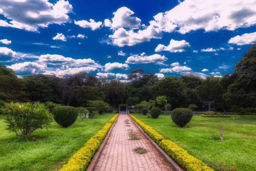 cubbon park