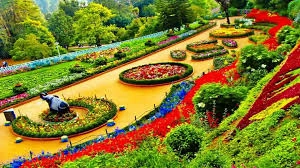 Rose Garden mysore
