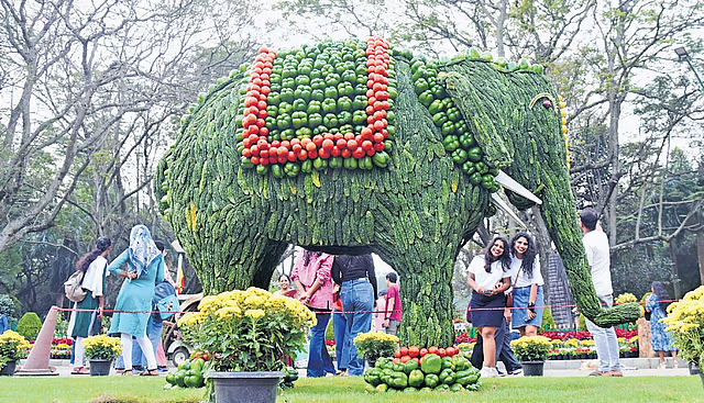 cubbon park flower show