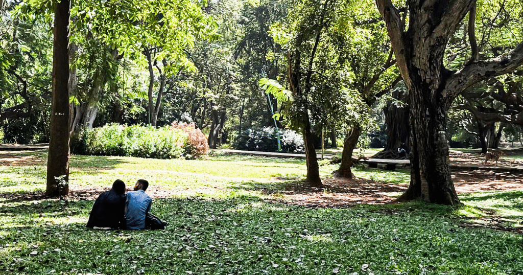 cubbon park
